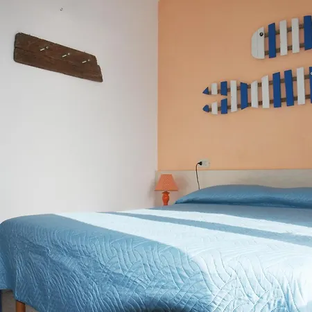 Guest house Sciabattica N.2